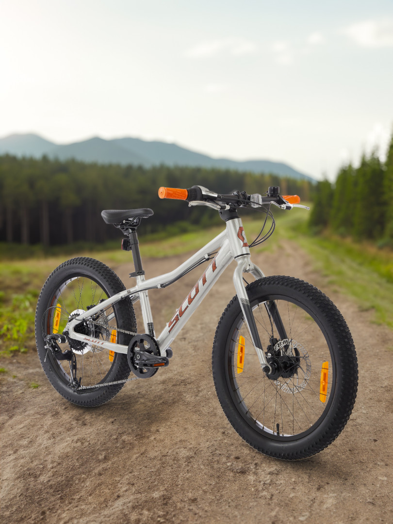 Велосипед для мальчиков Scott Roxter 20 2022 Серый 37599₽