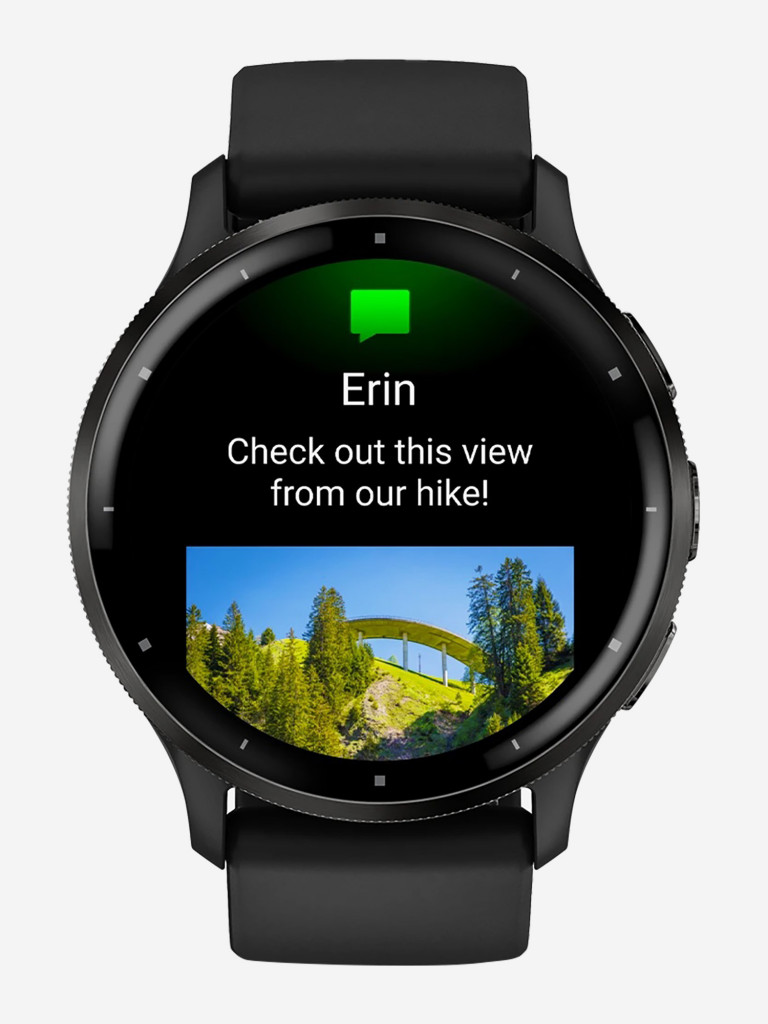 Спортивные часы Garmin Venu 3 Black Slate