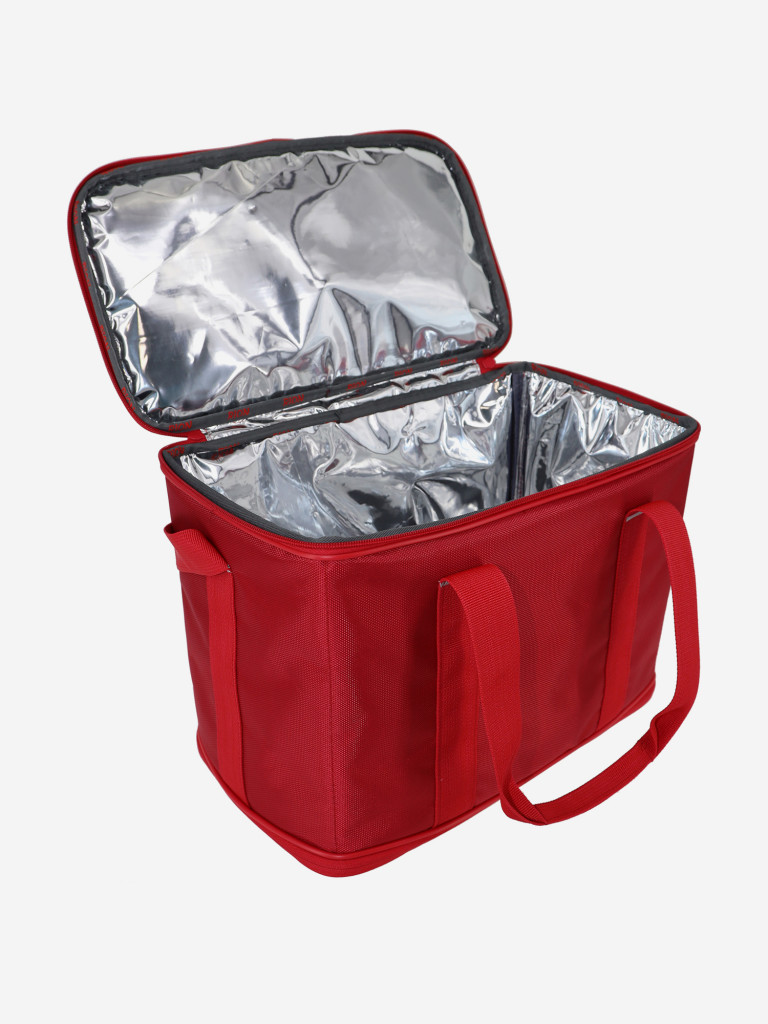 Термосумка Рион+ (RION+)