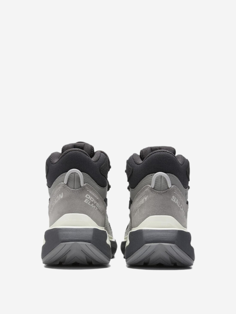 Ботинки унисекс Salomon Odyssey Elmt Mid GTX