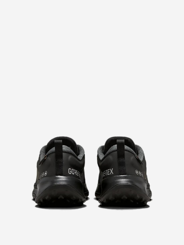 Кроссовки Nike Pegasus Trail 4 Gtx