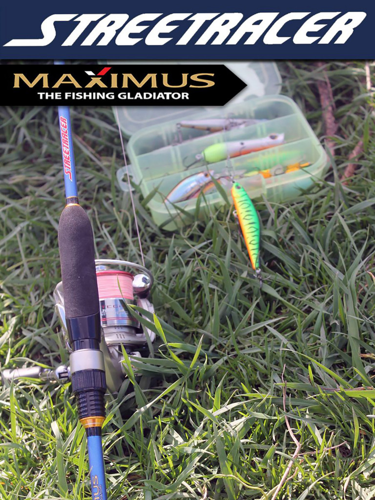 Спиннинг для рыбалки Maximus STREETRACER 19L 1,9m 3-12g твичинговое