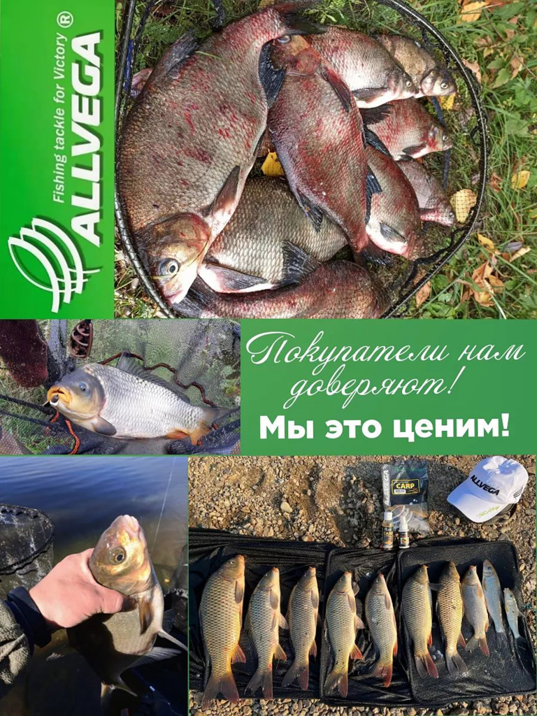 Прикормка зимняя готовая ALLVEGA Formula Winter Ready универсал 5 пачек по 0.5 кг