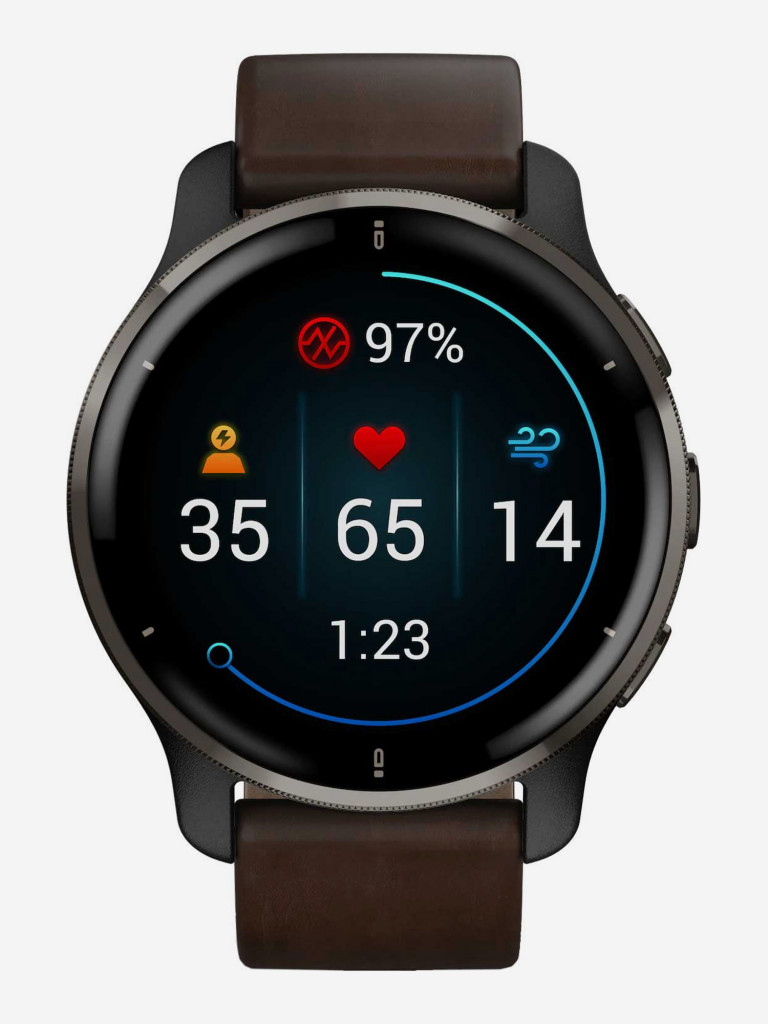 Спортивные наручные часы Garmin Venu 2 Plus Black Slate, Leather