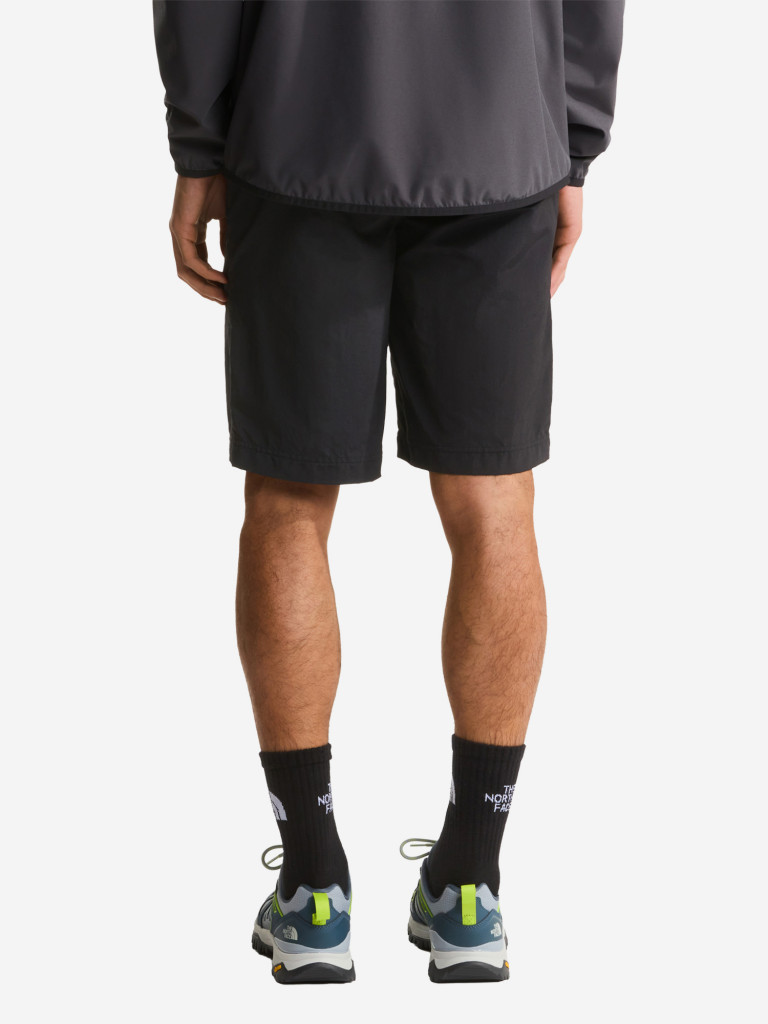 Шорты мужские The North Face