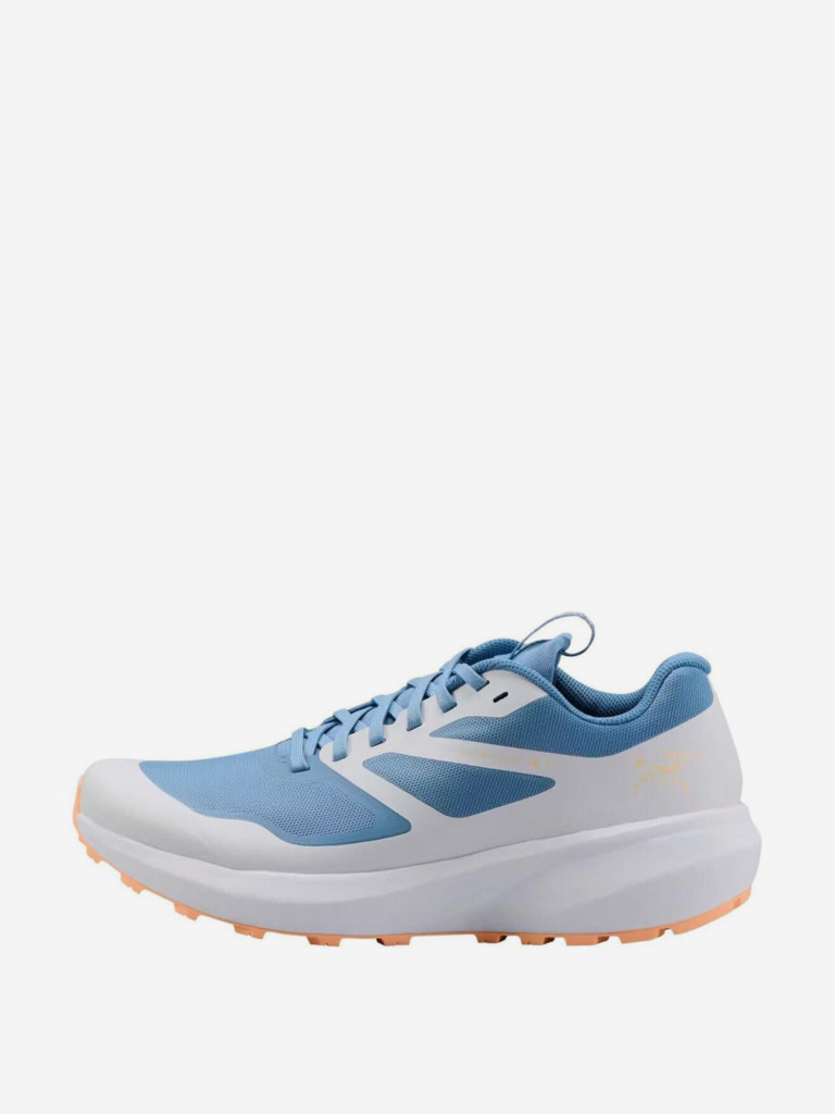 Кроссовки мужские Arc'teryx Norvan LD 3