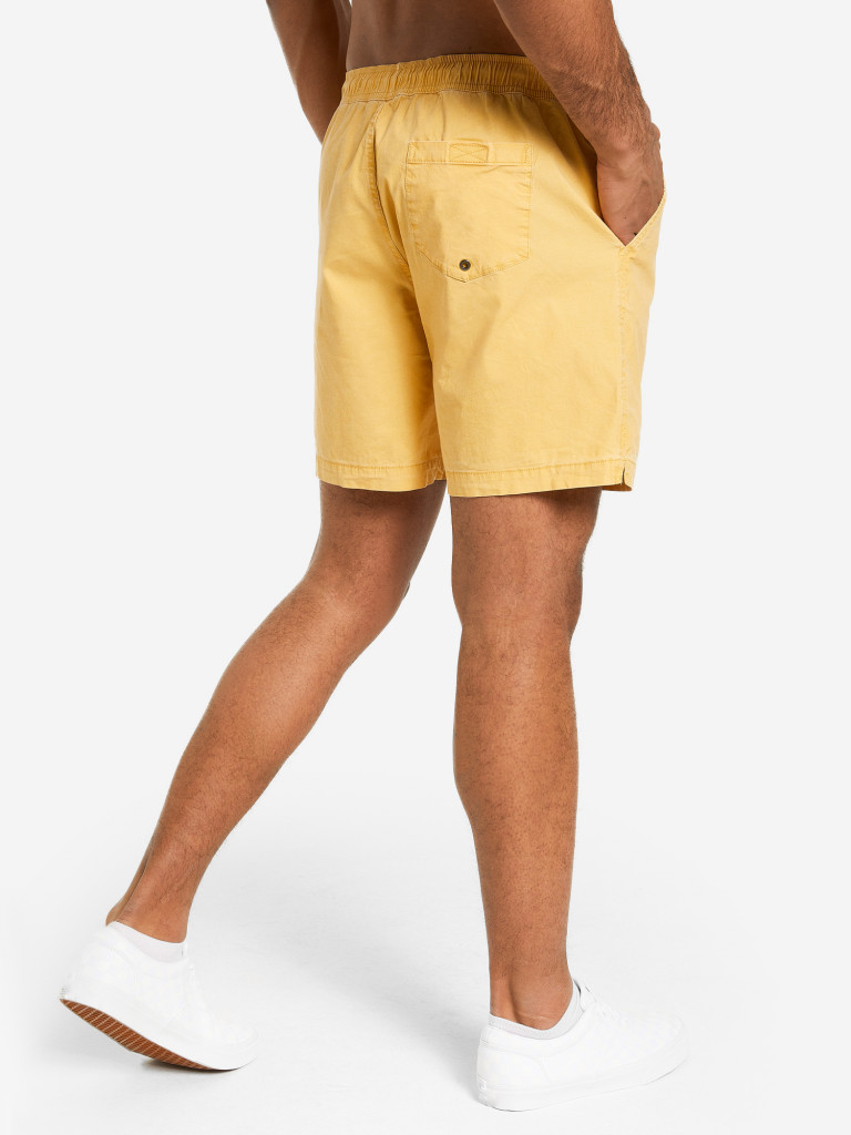 Шорты мужские Quiksilver