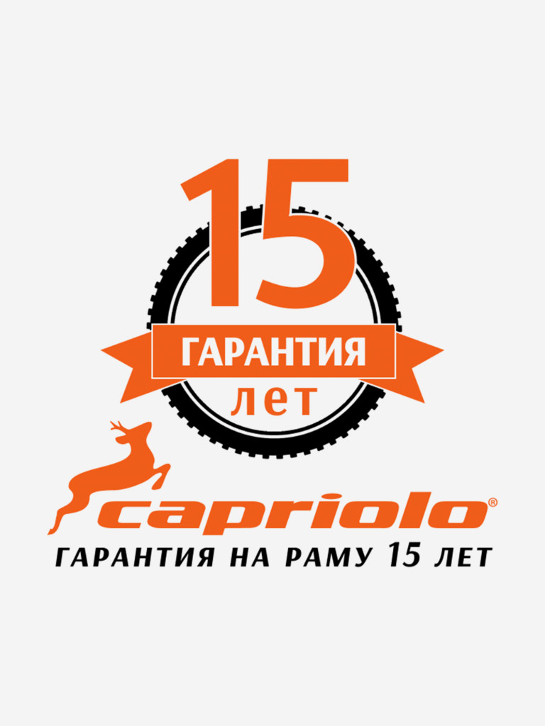Велосипед CAPRIOLO MTB LEVEL 9.0 (3 X 6), рама алюминий 19'', колёса 29'' (чёрный - зелёный)