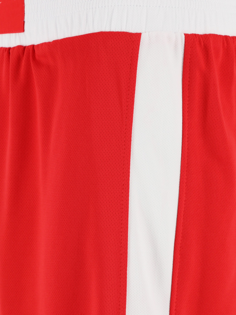 Шорты для бокса Everlast Shorts Elite