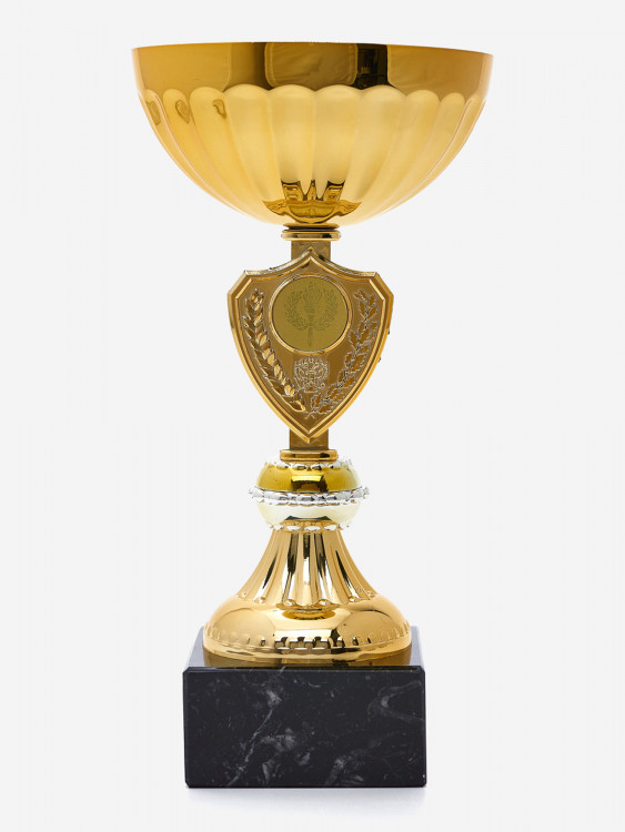Кубок спортивный для награждения победителей 24.5 см