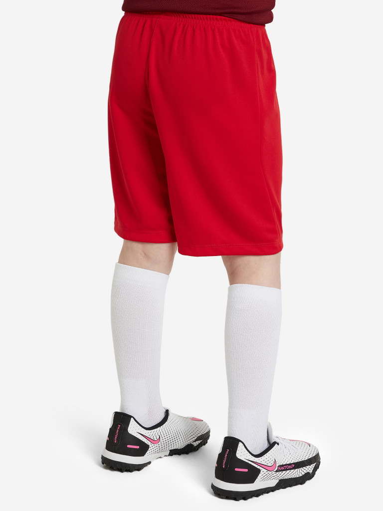 Шорты для мальчиков Nike Kids Short Park III