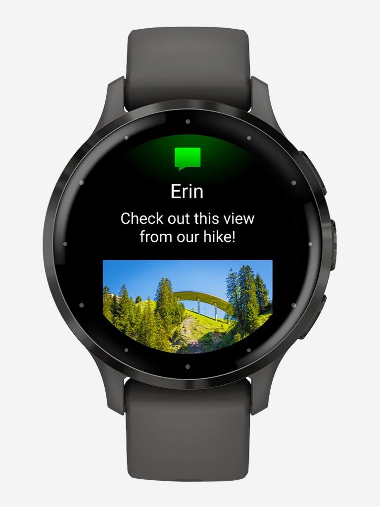 Спортивные часы Garmin Venu 3S Pebble Gray Slate