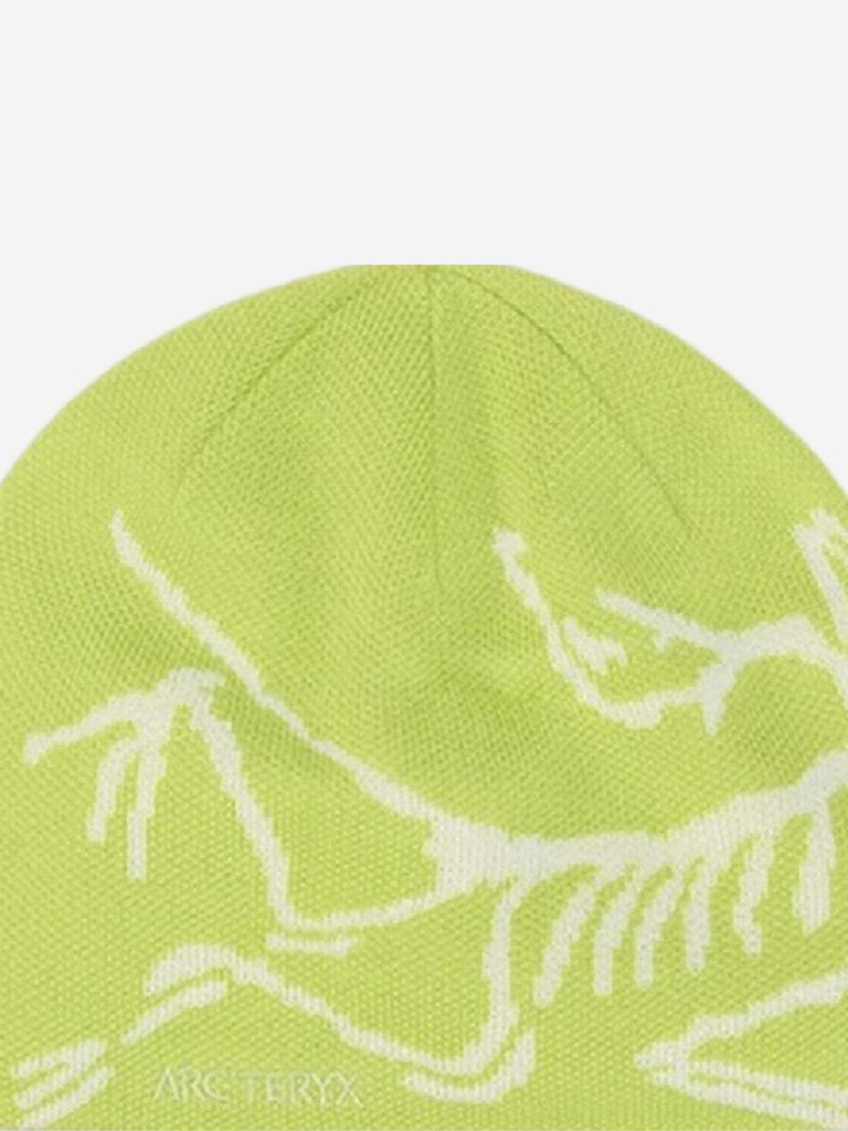 Шапка Arc'teryx Bird Head Toque