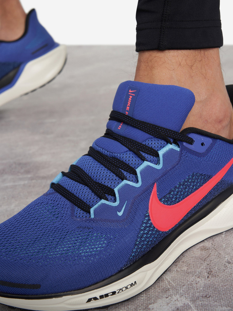 Кроссовки мужские Nike Pegasus 41