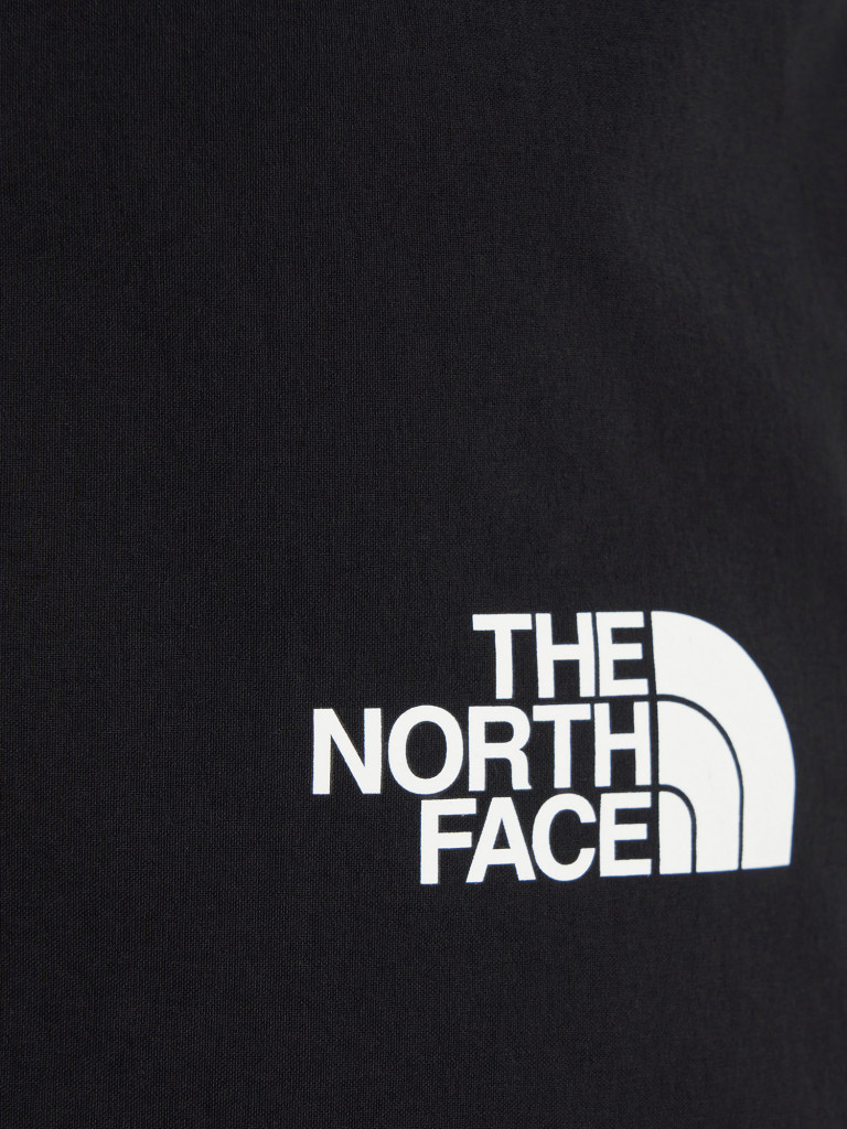 Брюки утепленные мужские The North Face Winter Exploration Reg