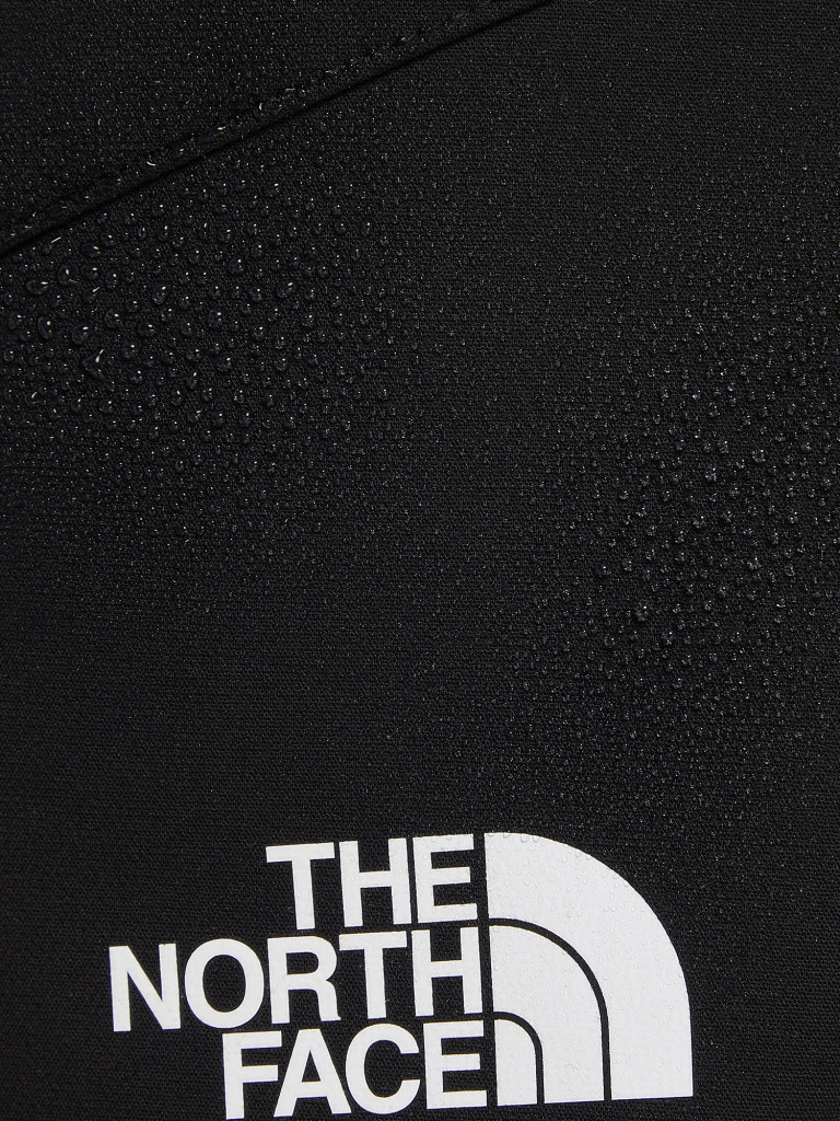 Брюки мужские The North Face Diablo