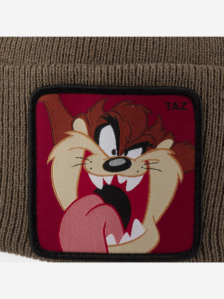 Шапка с отворотом CAPSLAB CL/LOO5/1/BON/TAZ3 Looney Tunes Taz