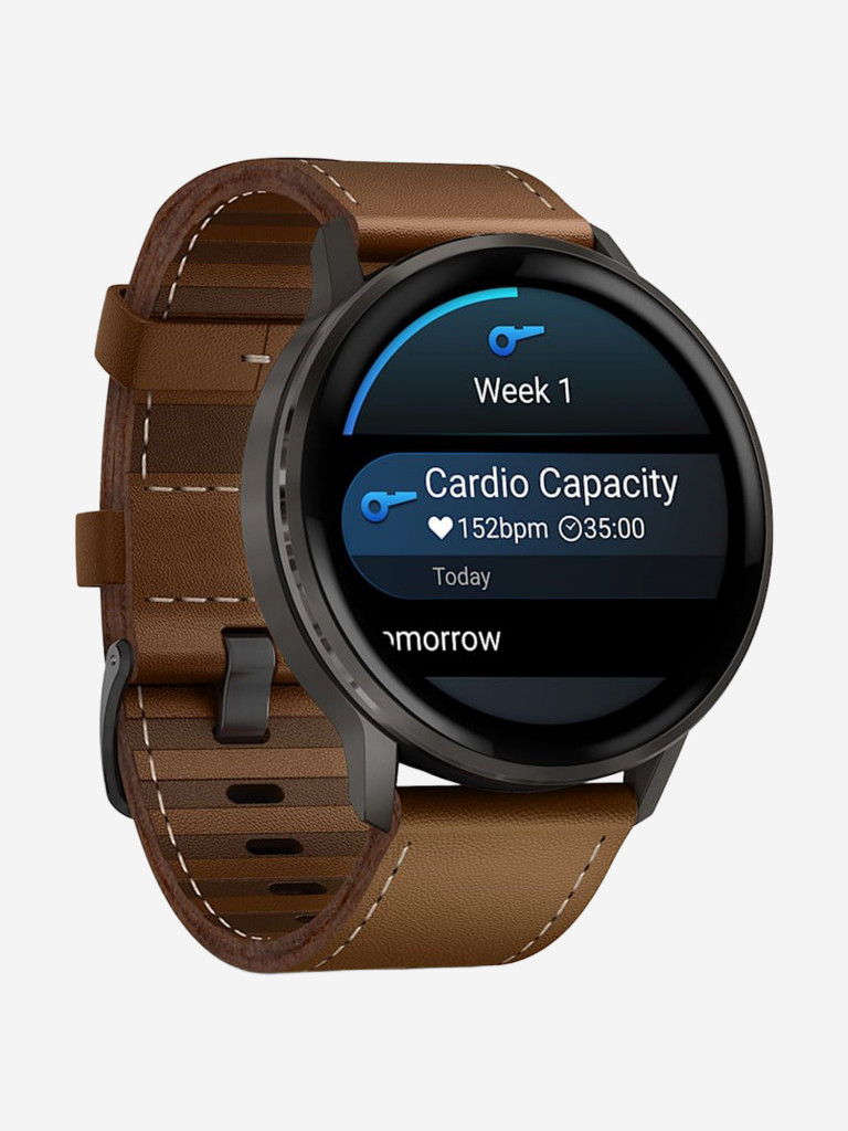 Смарт-часы GARMIN Venu 4, 45mm (010-03014-03)