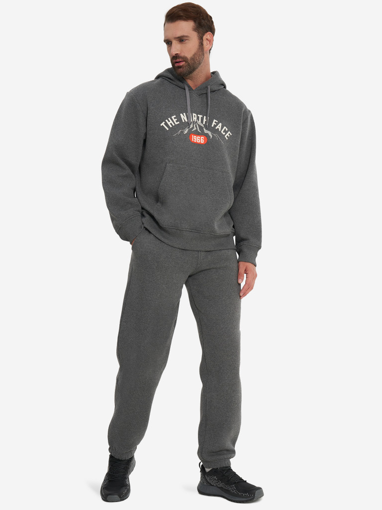 Худи мужское The North Face Varsity Graphic