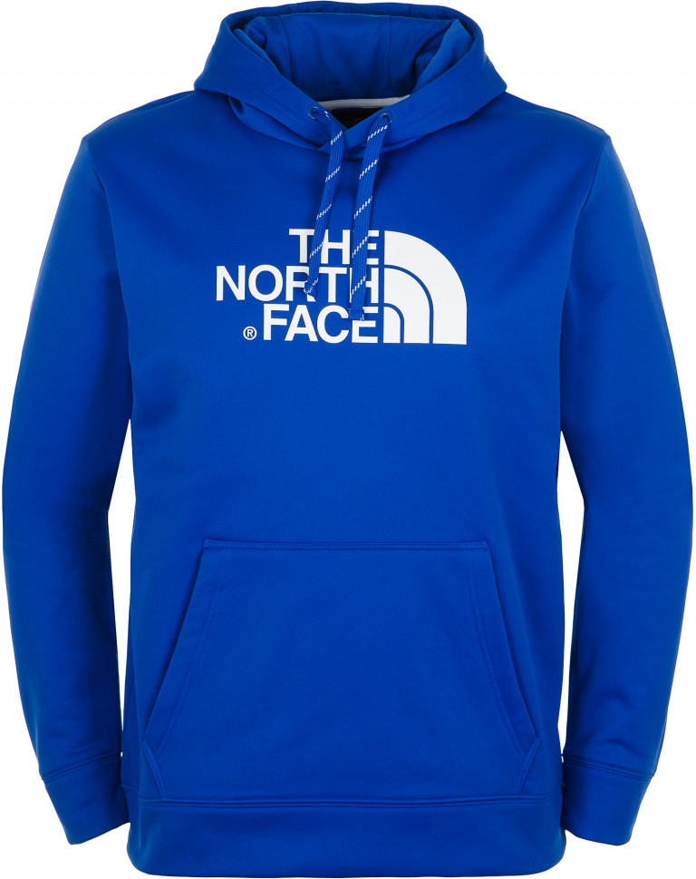 Худи мужское The North Face Surgent