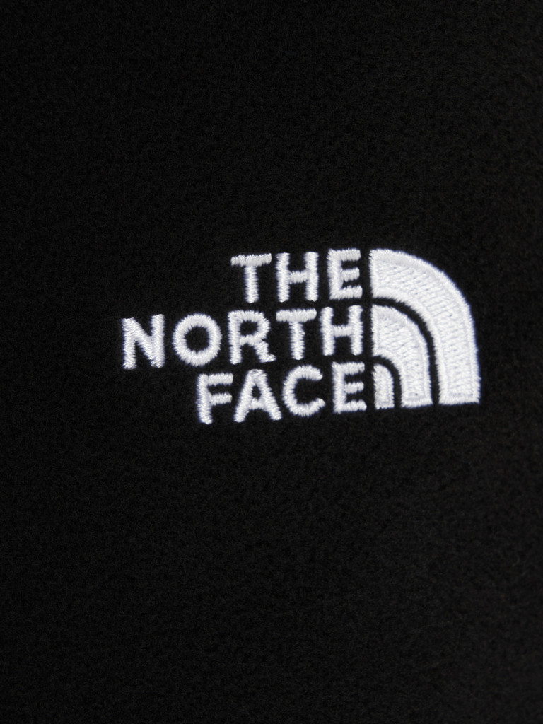 Брюки флисовые мужские The North Face Glacier