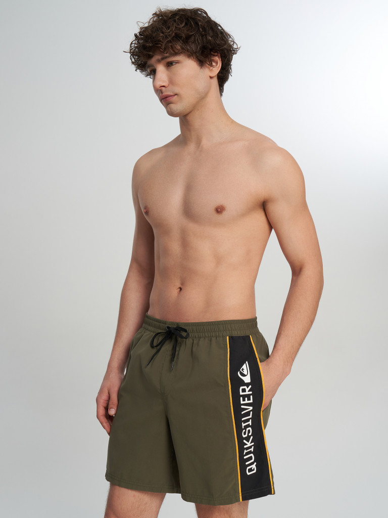 Шорты плавательные мужские Quiksilver Everyday Clicker Volley 17