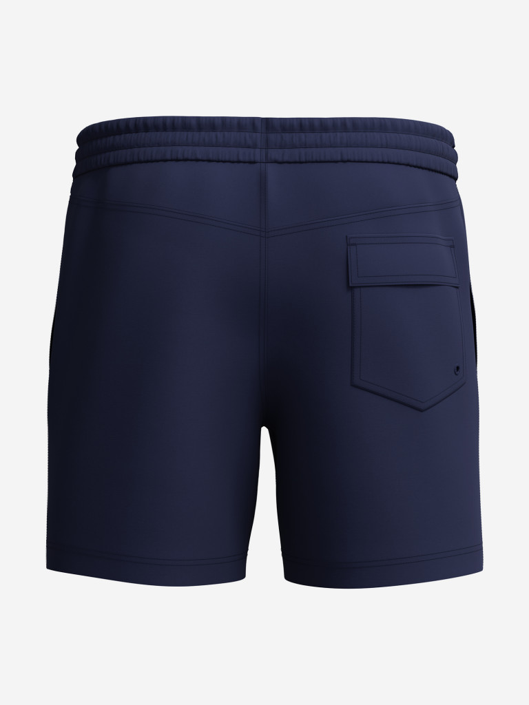 Шорты плавательные мужские Speedo Medley Logo