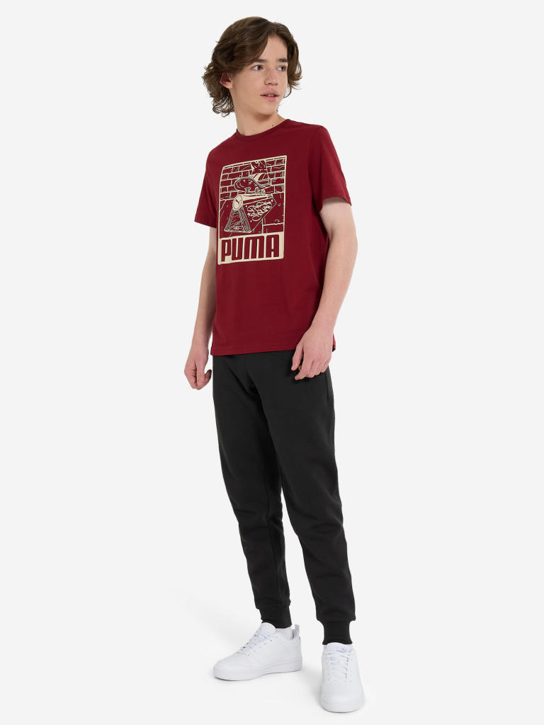 Футболка для мальчиков PUMA ESS+ Mid 90s Graphic