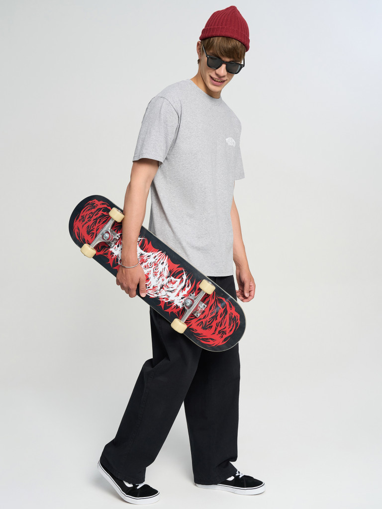 Футболка мужская Vans Double Standard