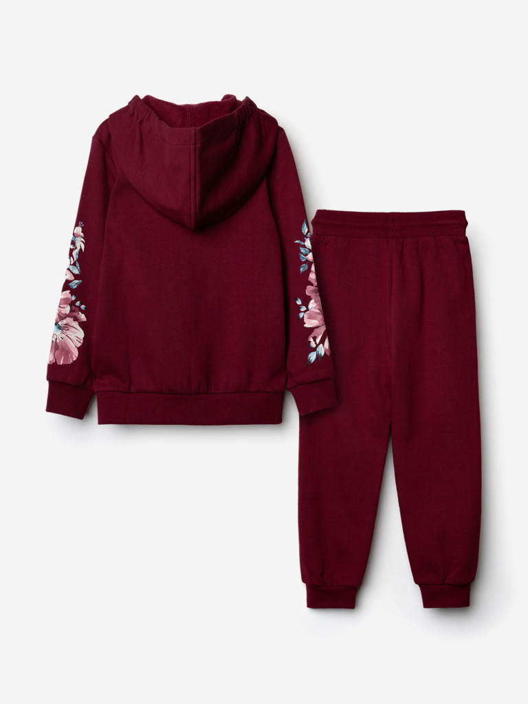 Комплект для девочки: толстовка, брюки PlayToday