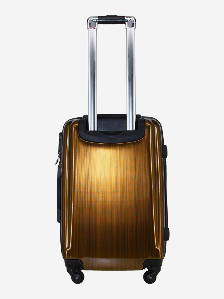 Чемодан RION+ M