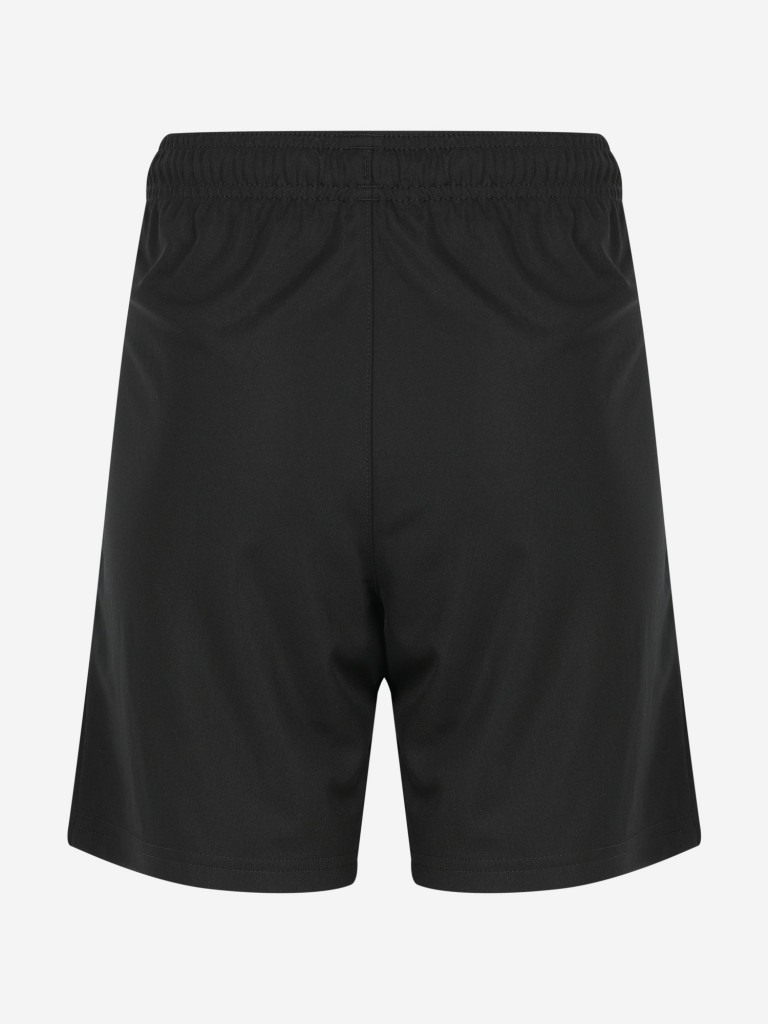 Шорты для мальчиков PUMA teamRISE
