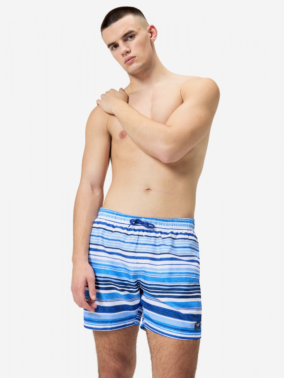 Шорты плавательные мужские Speedo