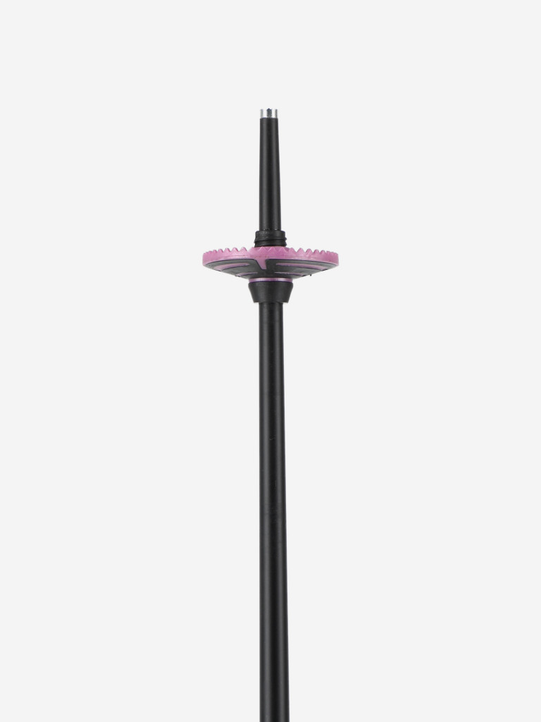Палки горнолыжные женские Rossignol Electra Premium