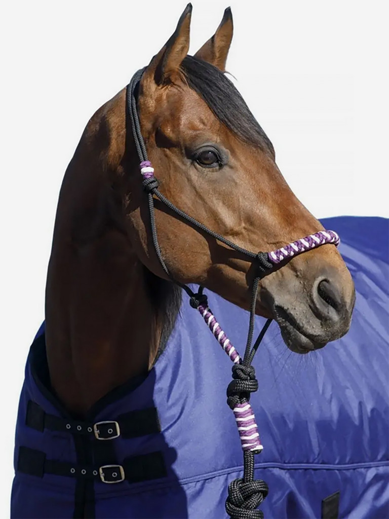 Попона для лошадей