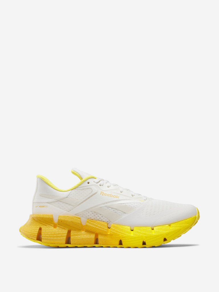 Кроссовки мужские Reebok Floatzig 1