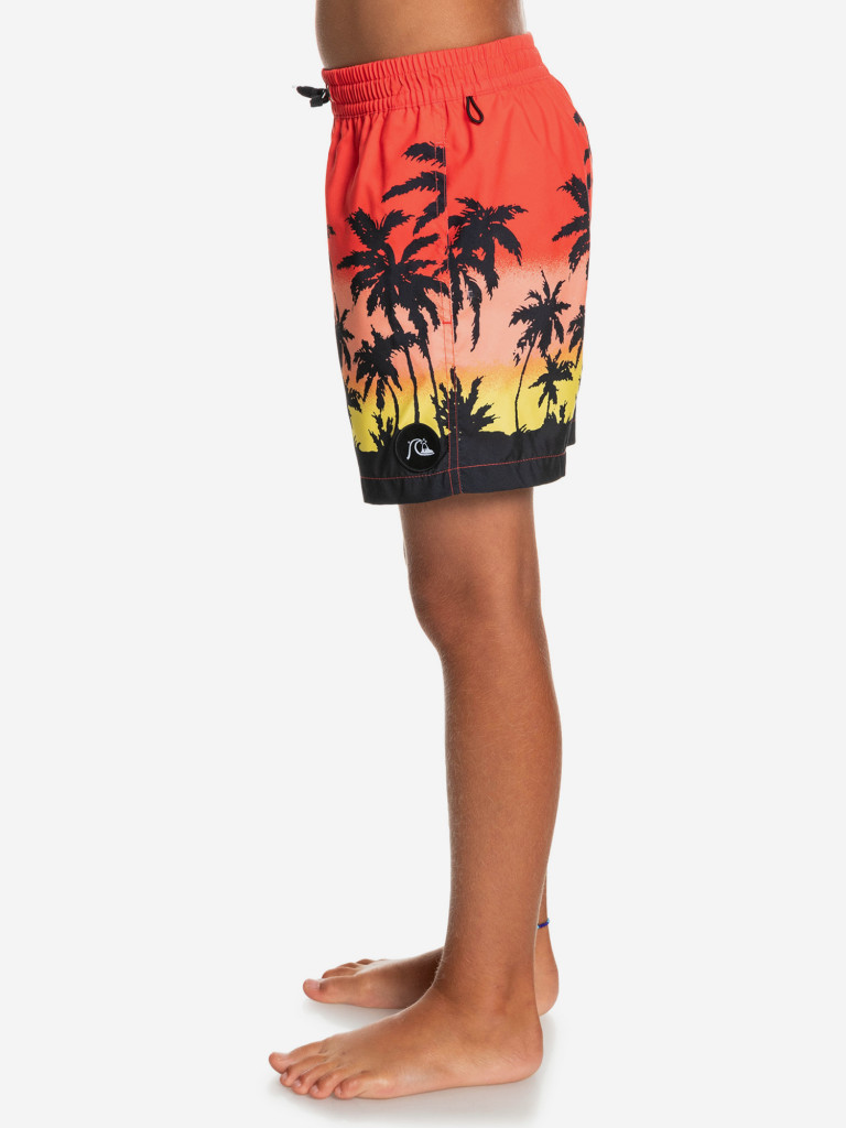 Шорты для мальчиков Quiksilver Paradise