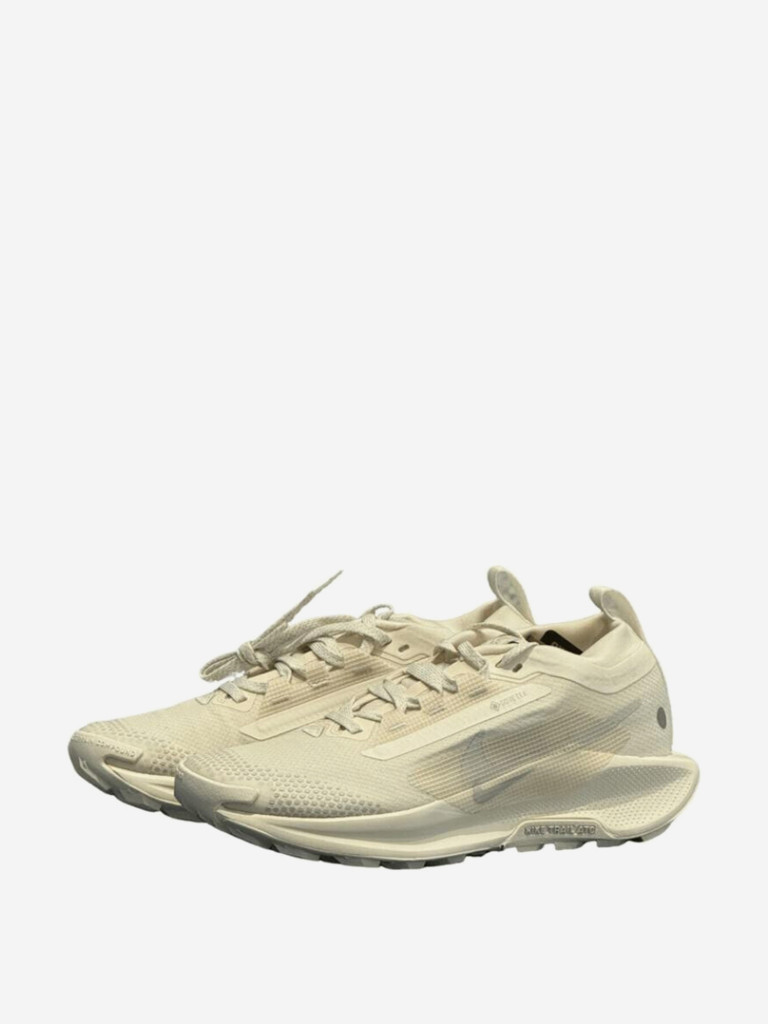 Кроссовки Nike Pegasus Trail 5