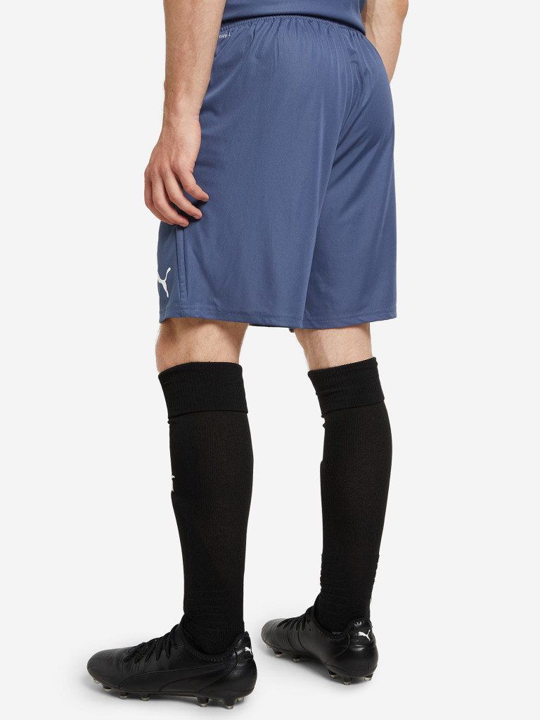 Шорты мужские PUMA Team Liga