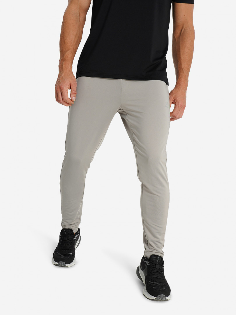 Брюки мужские Demix Серый 899₽