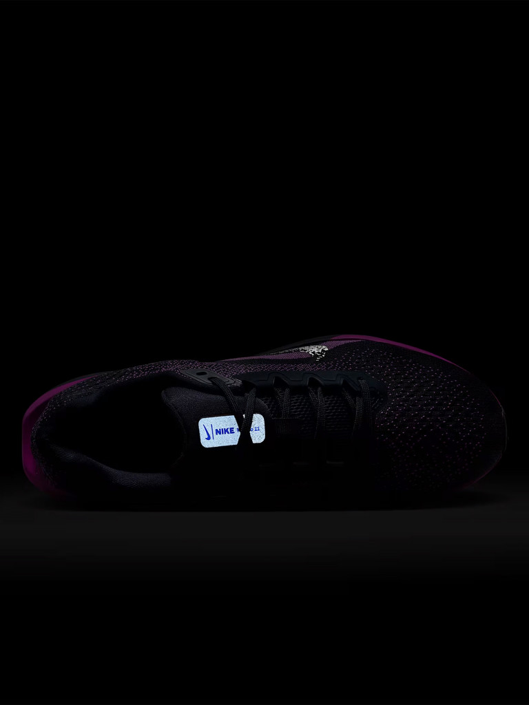 Кроссовки мужские Nike Air Winflo 11 Se