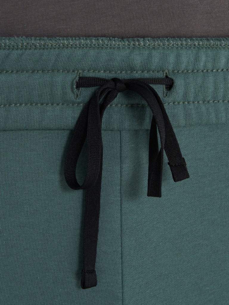 Брюки мужские Demix Workday