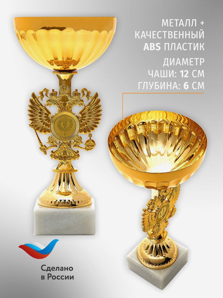 Кубок спортивный для награждения победителей 24.5 см