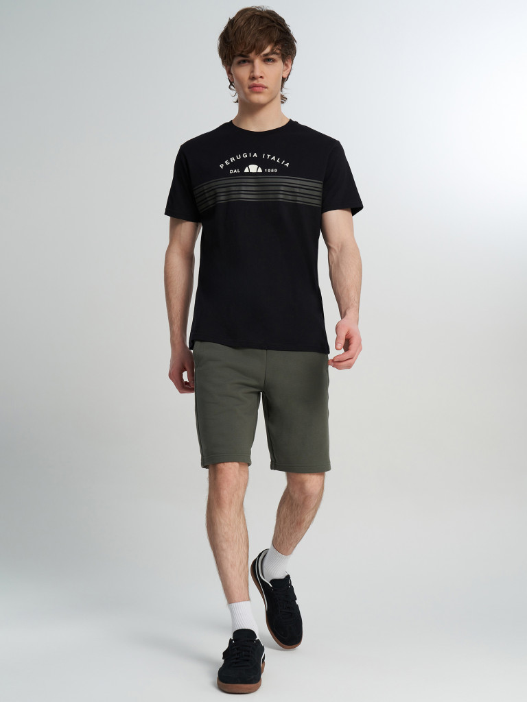 Футболка мужская Ellesse