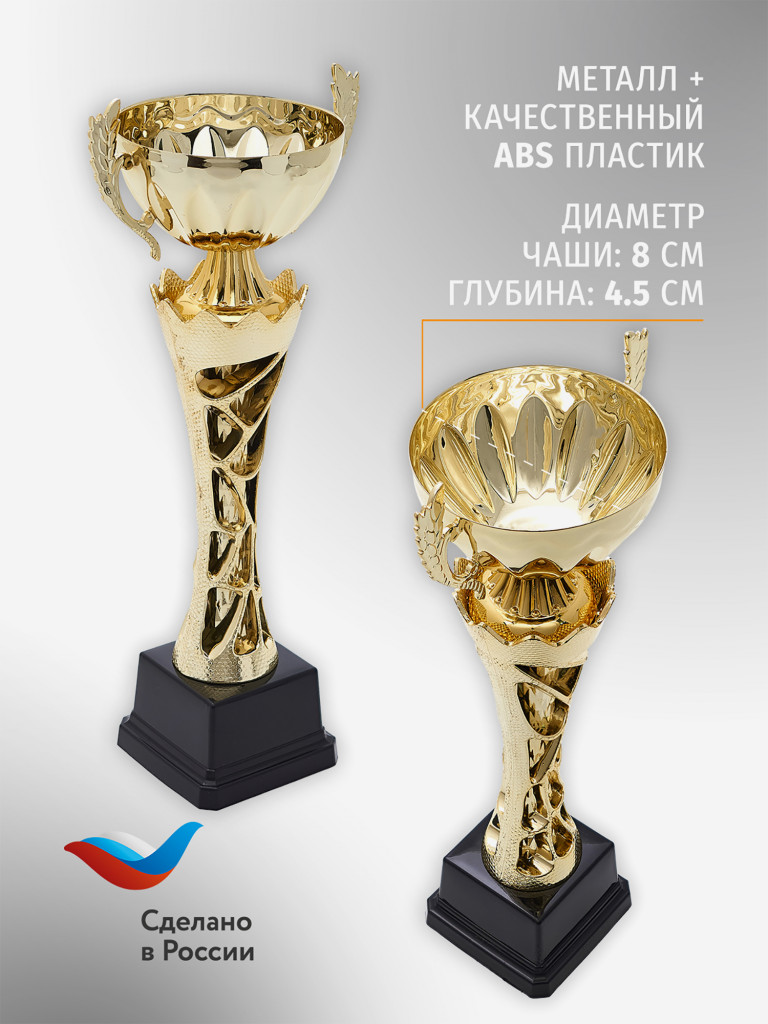 Спортивный кубок для награждения победителя 26.5 см