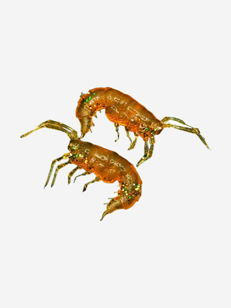 Набор для рыбалки зимний летний. RuBaits Русские приманки. Креветка Shrims рак 45 шт. 0,7", 1,5". Cиликоновые приманки на окуня, форель. Микроджиг, мормышинг. Зелёный Маннс УФ Green Manns UV