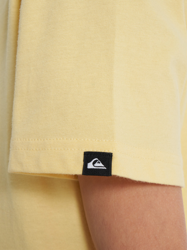 Футболка для мальчиков Quiksilver One Last Surf