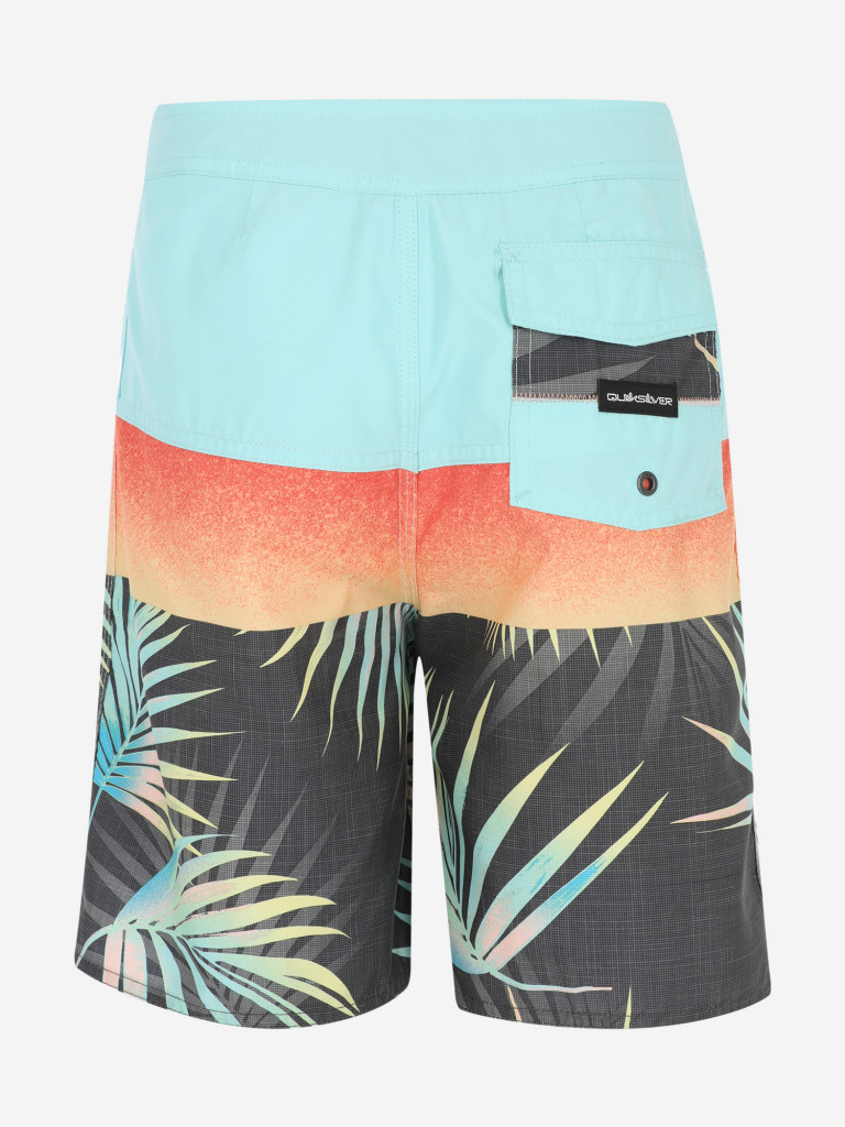 Шорты для мальчиков Quiksilver Everyday Panel