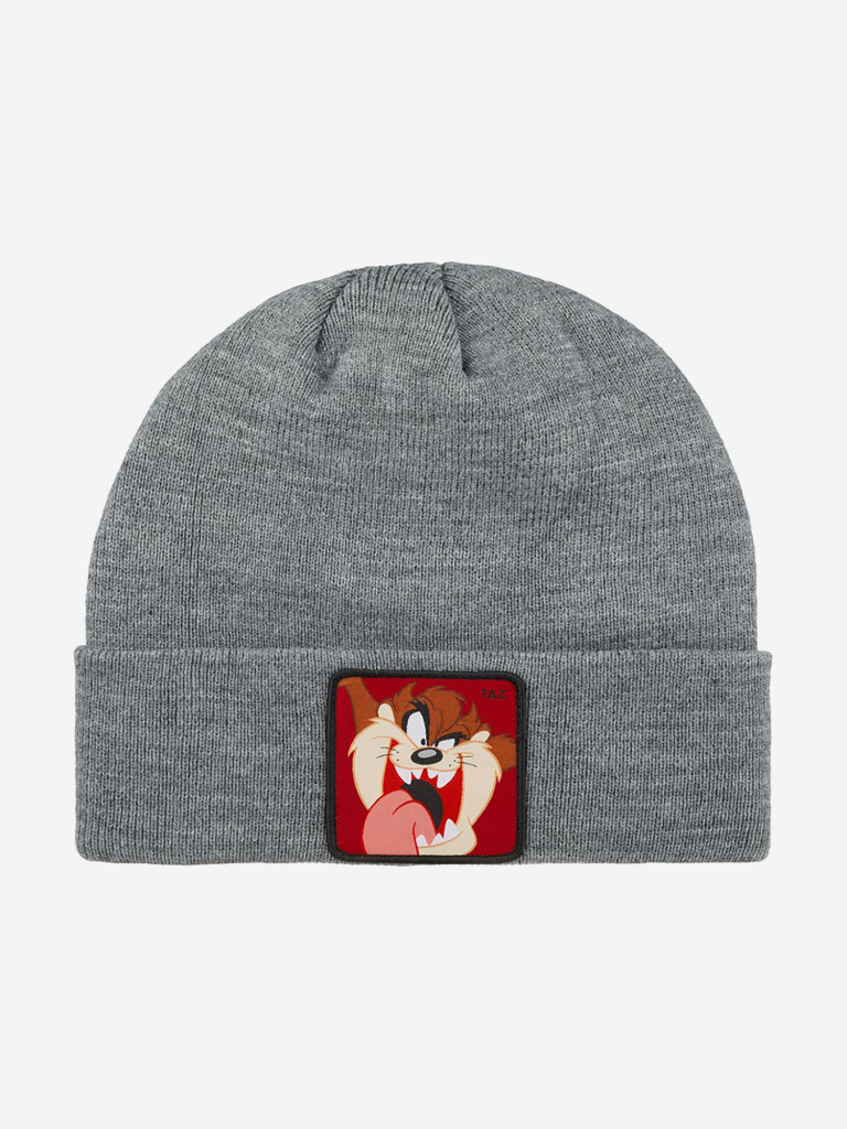 Шапка с отворотом CAPSLAB CL/LOO5/1/BON/TAZ2 Looney Tunes Taz (серый)