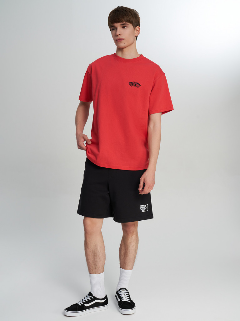Футболка мужская Vans Double Standard SS